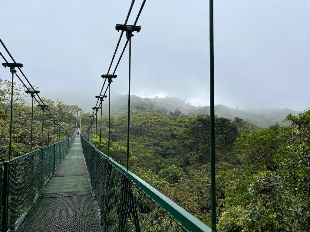 the cloud forest in Costa Rica